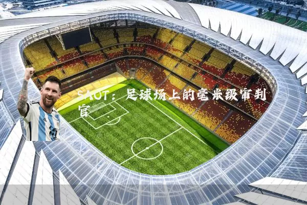 SAOT：足球场上的毫米级审判官